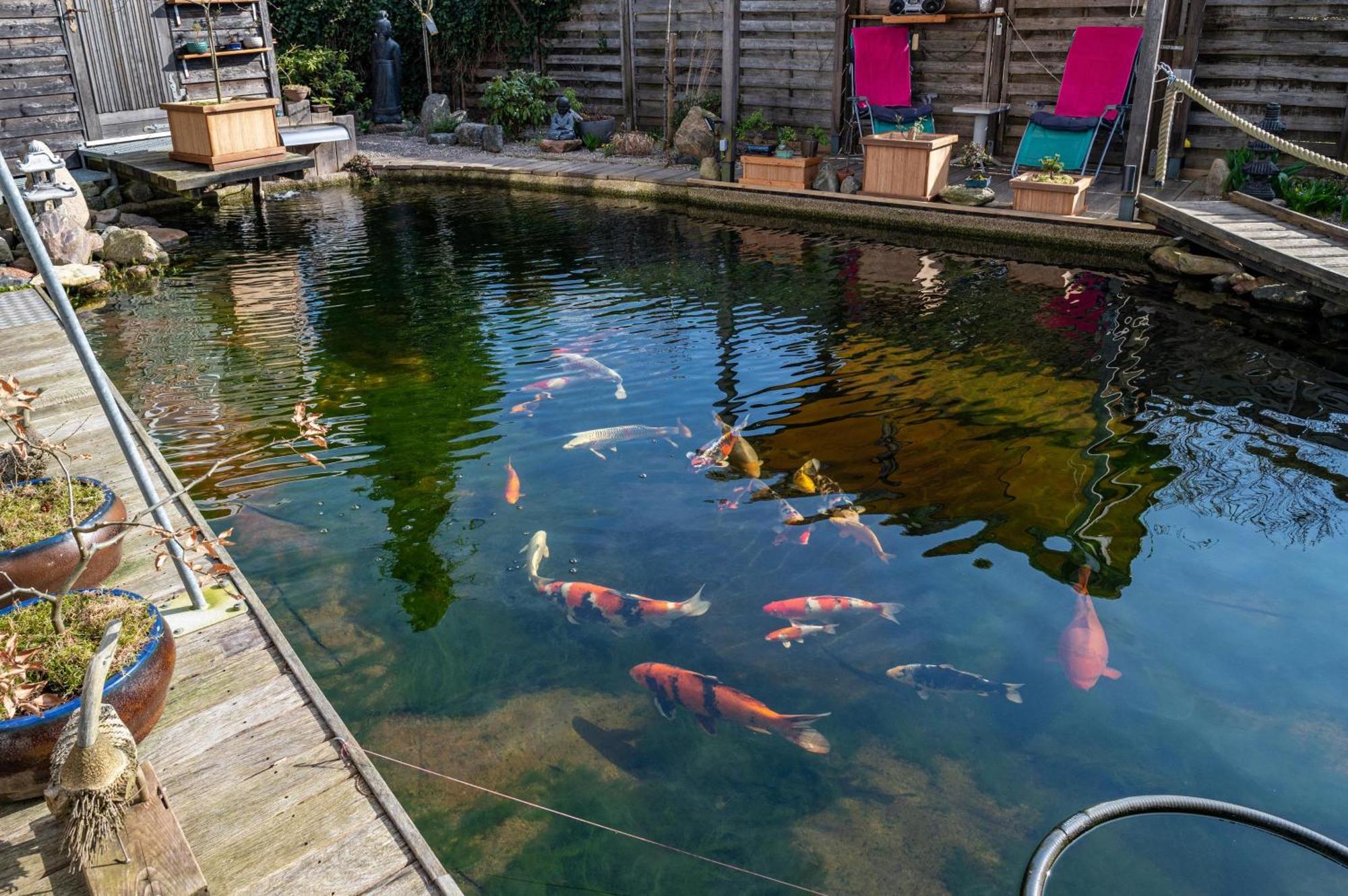 Am Teich Διαμέρισμα Bützow Εξωτερικό φωτογραφία